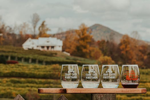 Vineyard Villas That Host Firelit Wine Tastings at Dusk